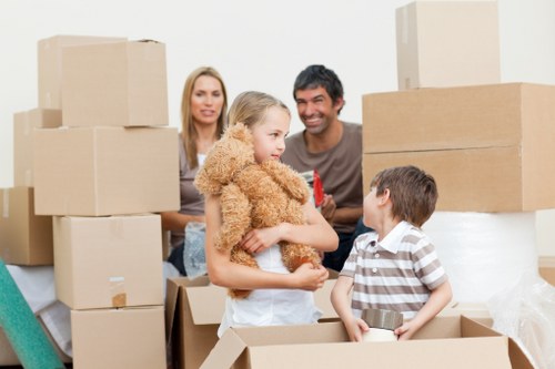 Professional man and van service handling furniture transport